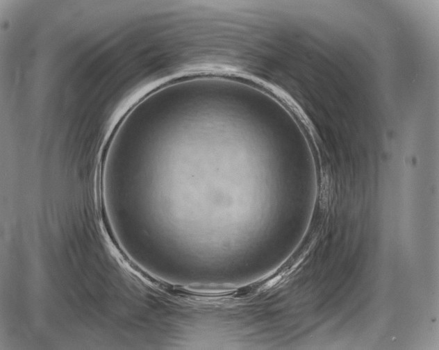 X0000087591295200704271258