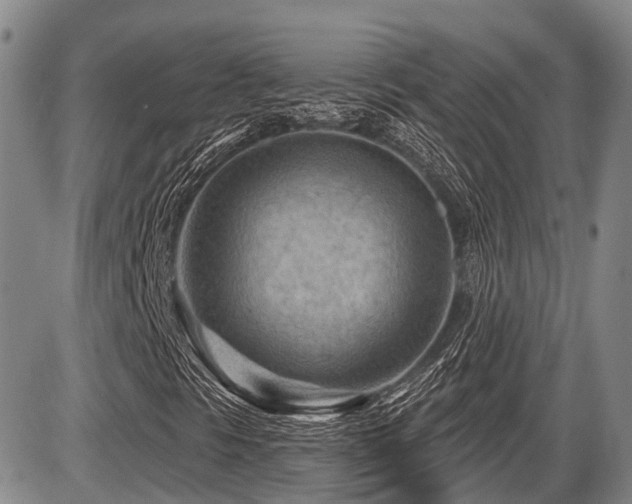 X0000087591297200704271257