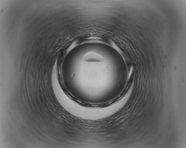 X0000087591298200704271257
