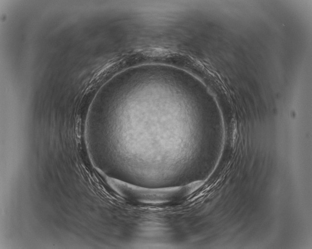 X0000087591301200704271257