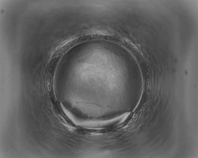 X0000087591303200704271257