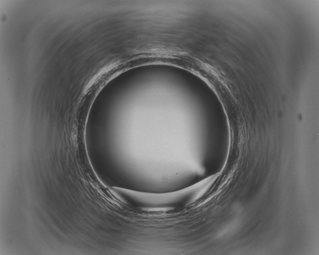 X0000087591307200704271257