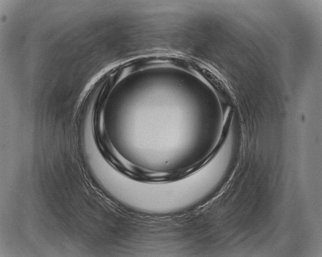 X0000087591310200704271257