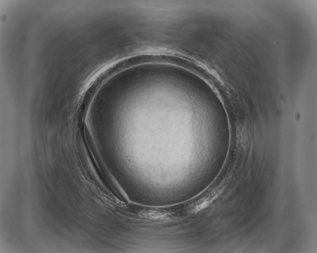 X0000087591311200704271257