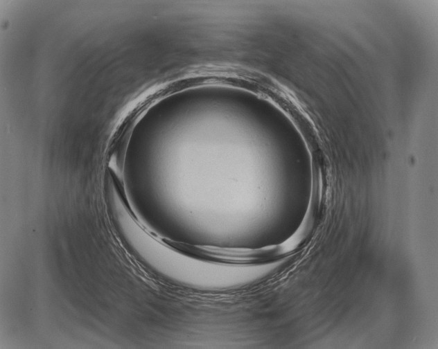 X0000087591312200704271257