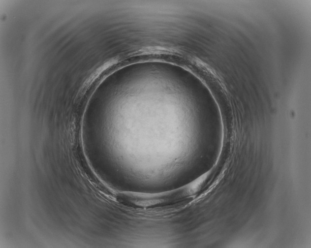 X0000087591313200704271257