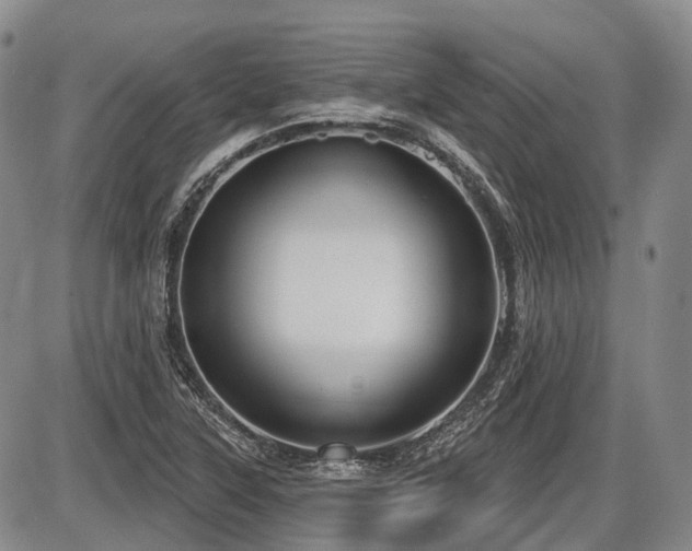 X0000087591315200704271257