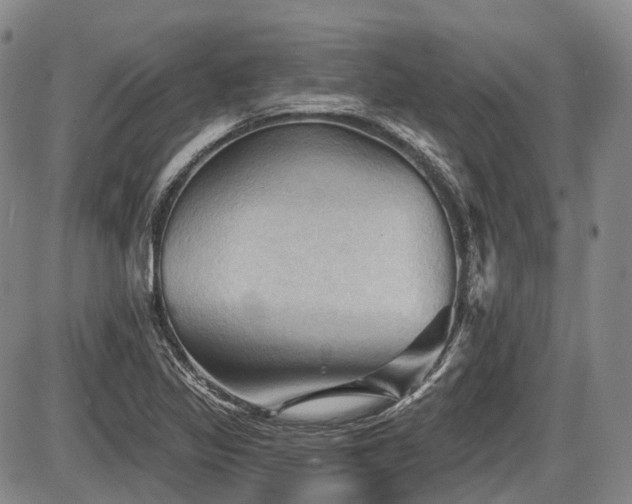 X0000087591317200704271257