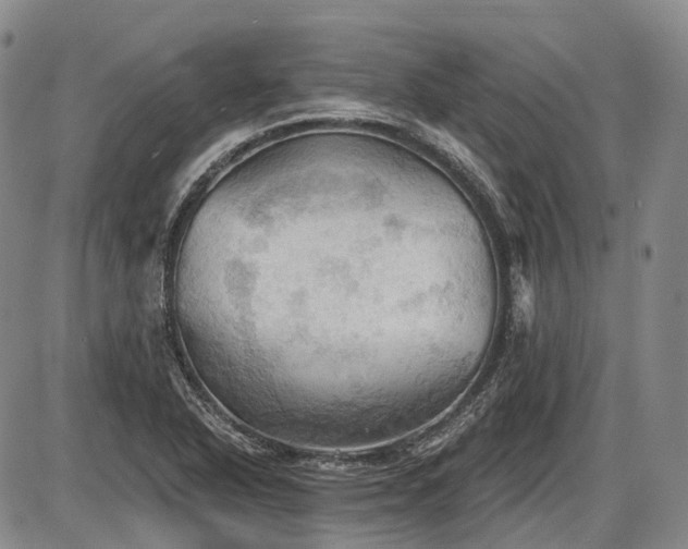 X0000087591318200704271257