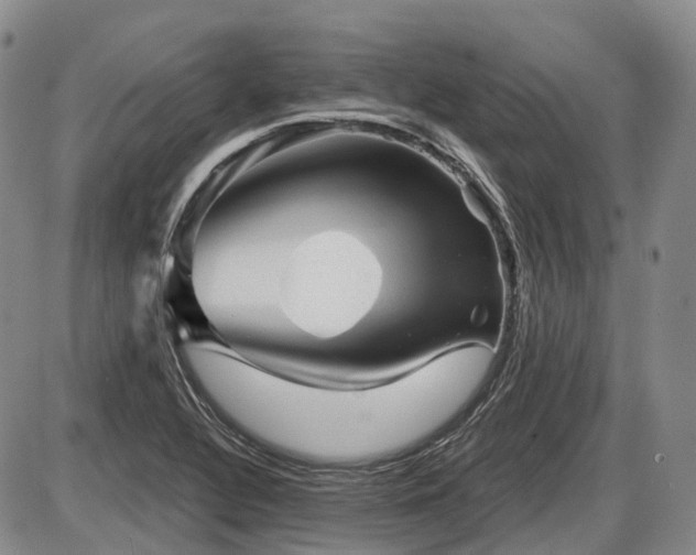 X0000087591320200704271257
