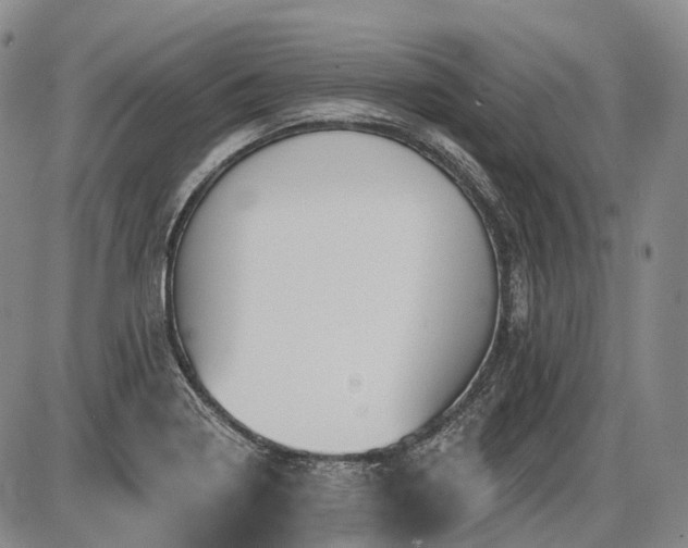 X0000087591322200704271257