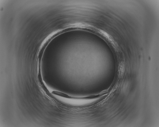 X0000087591323200704271257