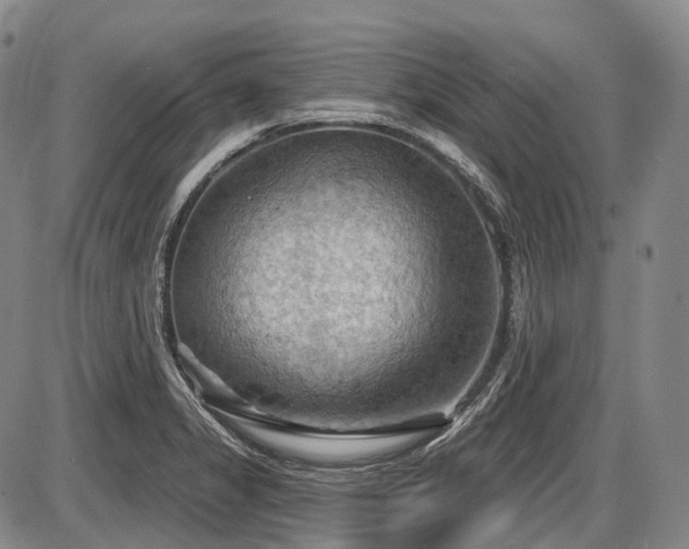 X0000087591325200704271257