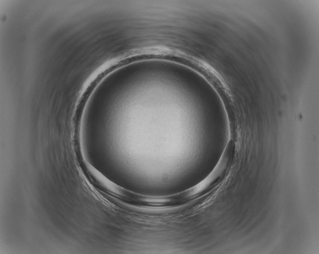 X0000087591326200704271257