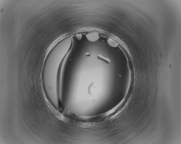 X0000087591330200704271257