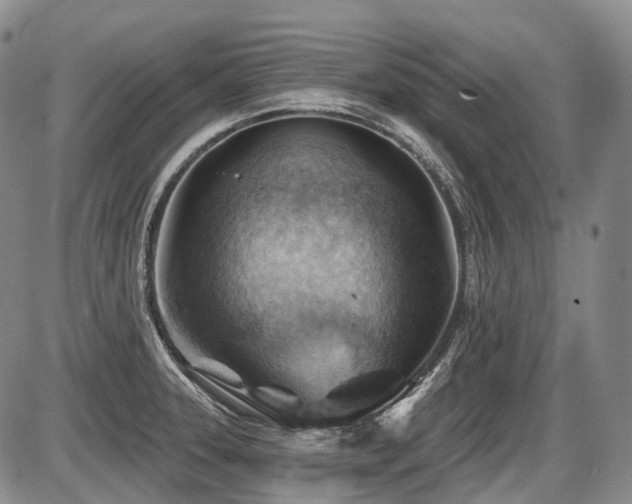 X0000087591331200704271257