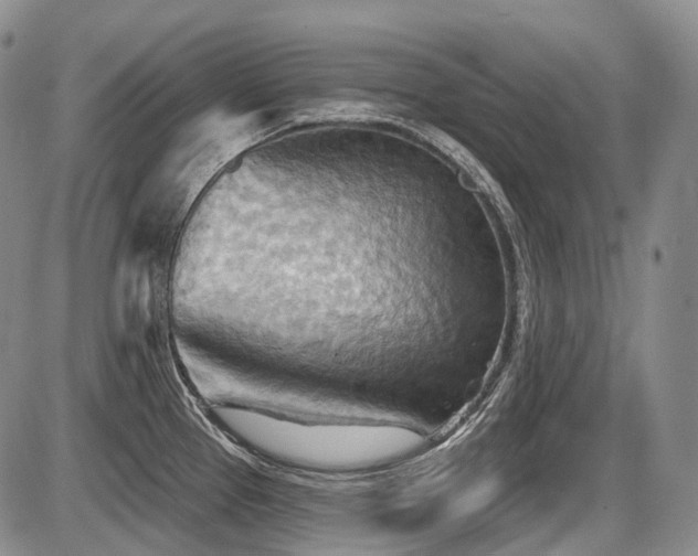 X0000087591337200704271258