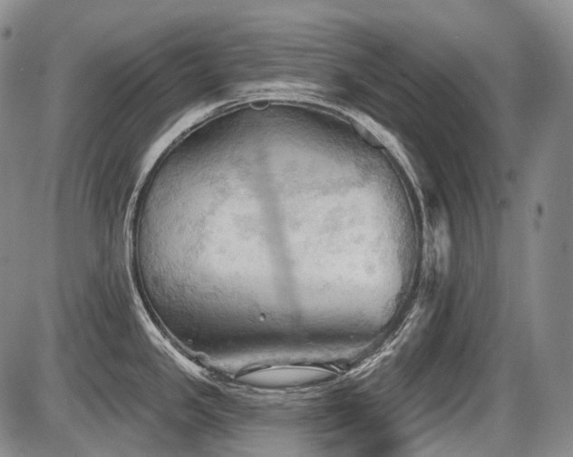 X0000087591341200704271258