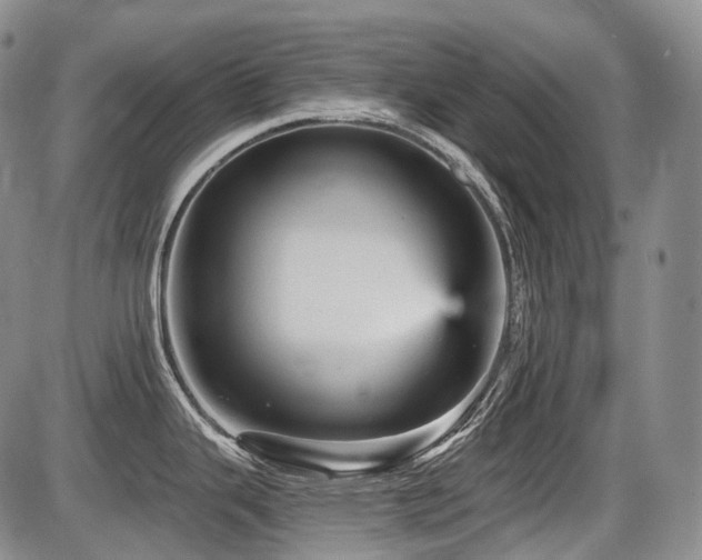 X0000087591343200704271258