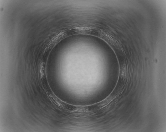 X0000087591346200704271257