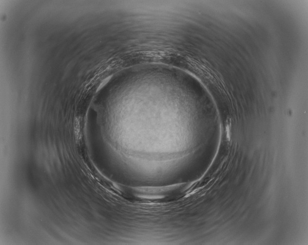 X0000087591347200704271257