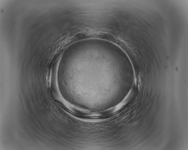 X0000087591348200704271257