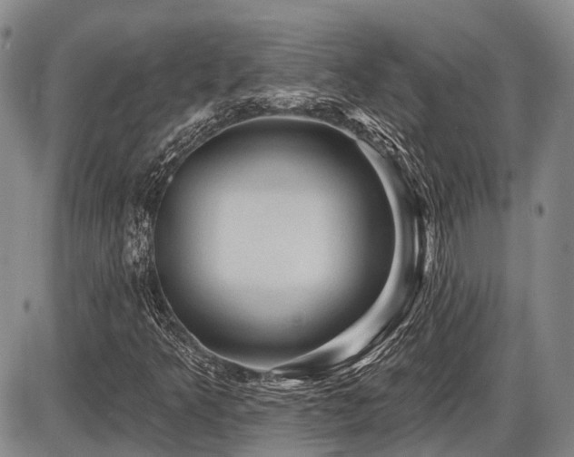 X0000087591349200704271257