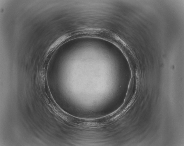 X0000087591354200704271257
