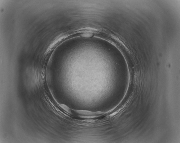 X0000087591355200704271257