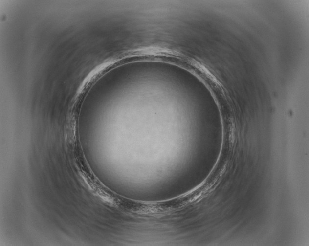X0000087591358200704271257