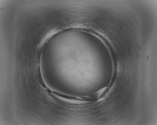 X0000087591359200704271257