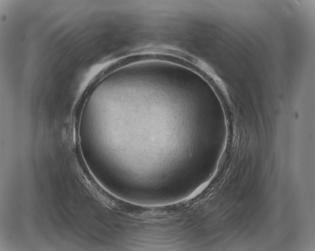 X0000087591368200704271257