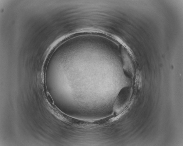 X0000087591372200704271256