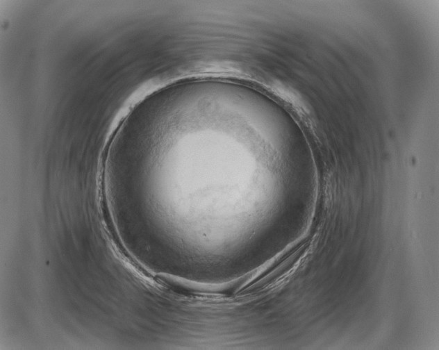 X0000087591374200704271256