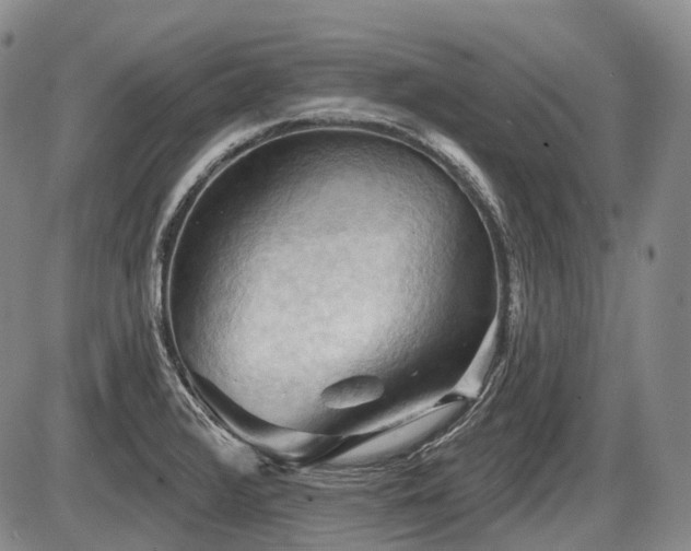 X0000087591376200704271256