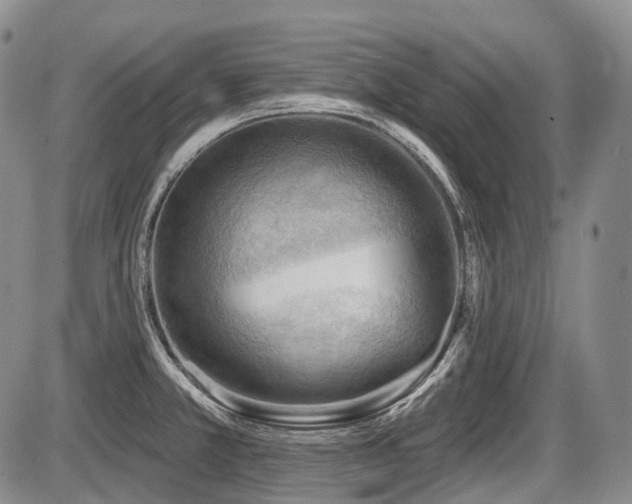 X0000087591381200704271256