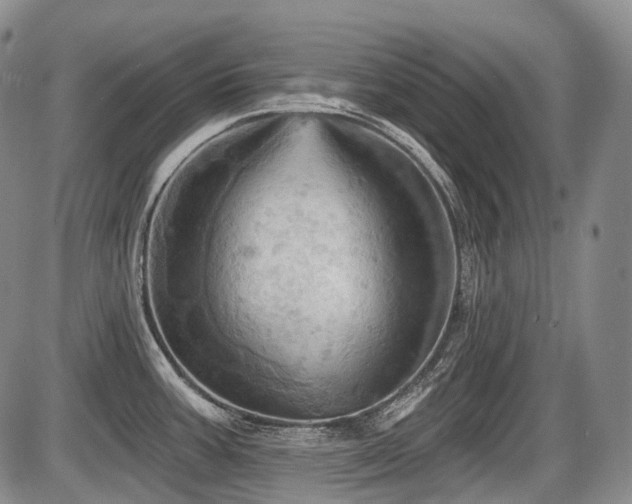 X0000087591387200704271256