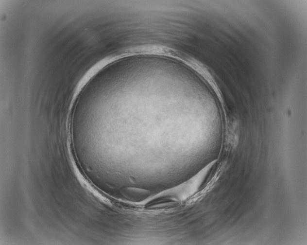 X0000087591389200704271256