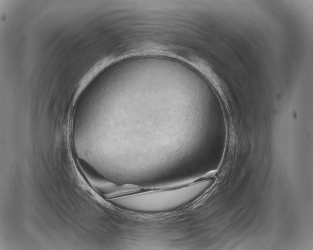 X0000087591390200704271256