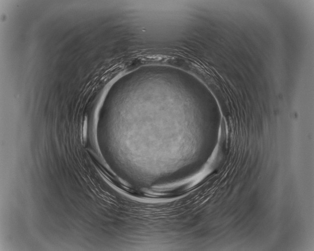 X0000087591394200704271255