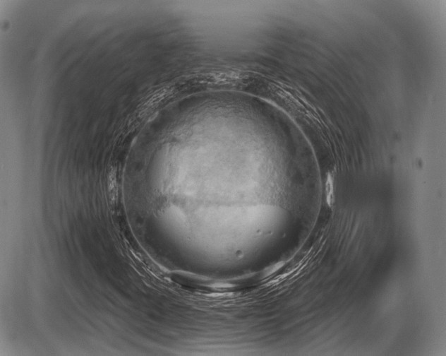 X0000087591395200704271255