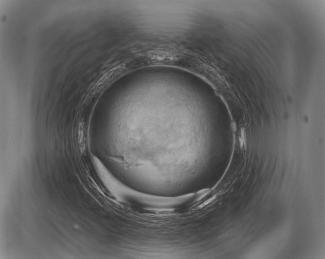 X0000087591396200704271255