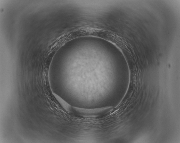 X0000087591397200704271255