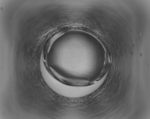 X0000087591398200704271255