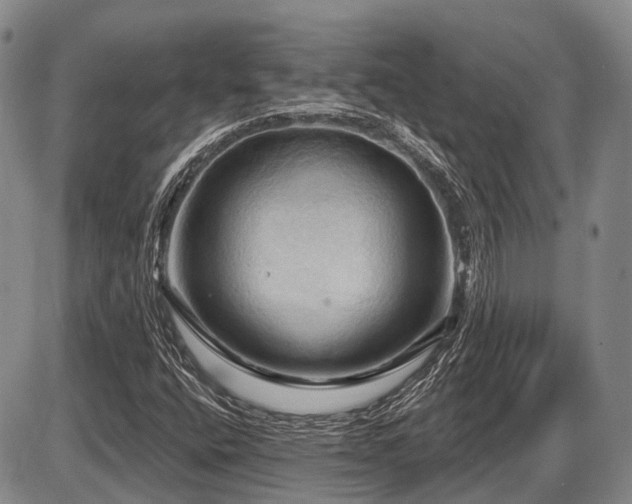 X0000087591400200704271255