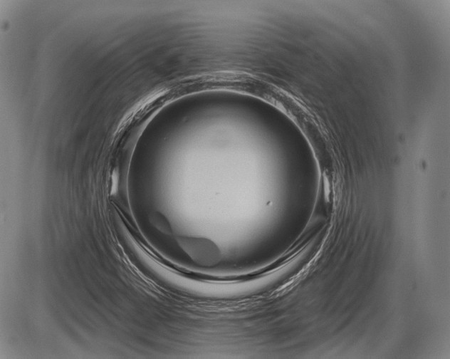 X0000087591402200704271255