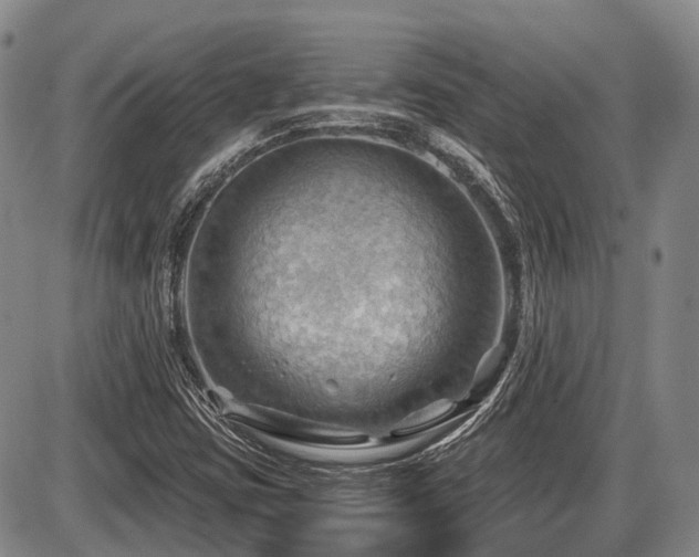 X0000087591403200704271256
