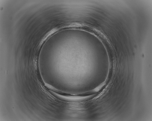 X0000087591409200704271256