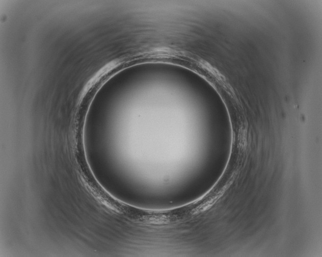 X0000087591410200704271256