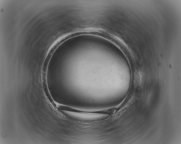 X0000087591412200704271256